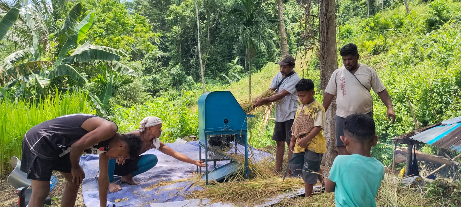 Uji Coba Mesin Rontok Padi