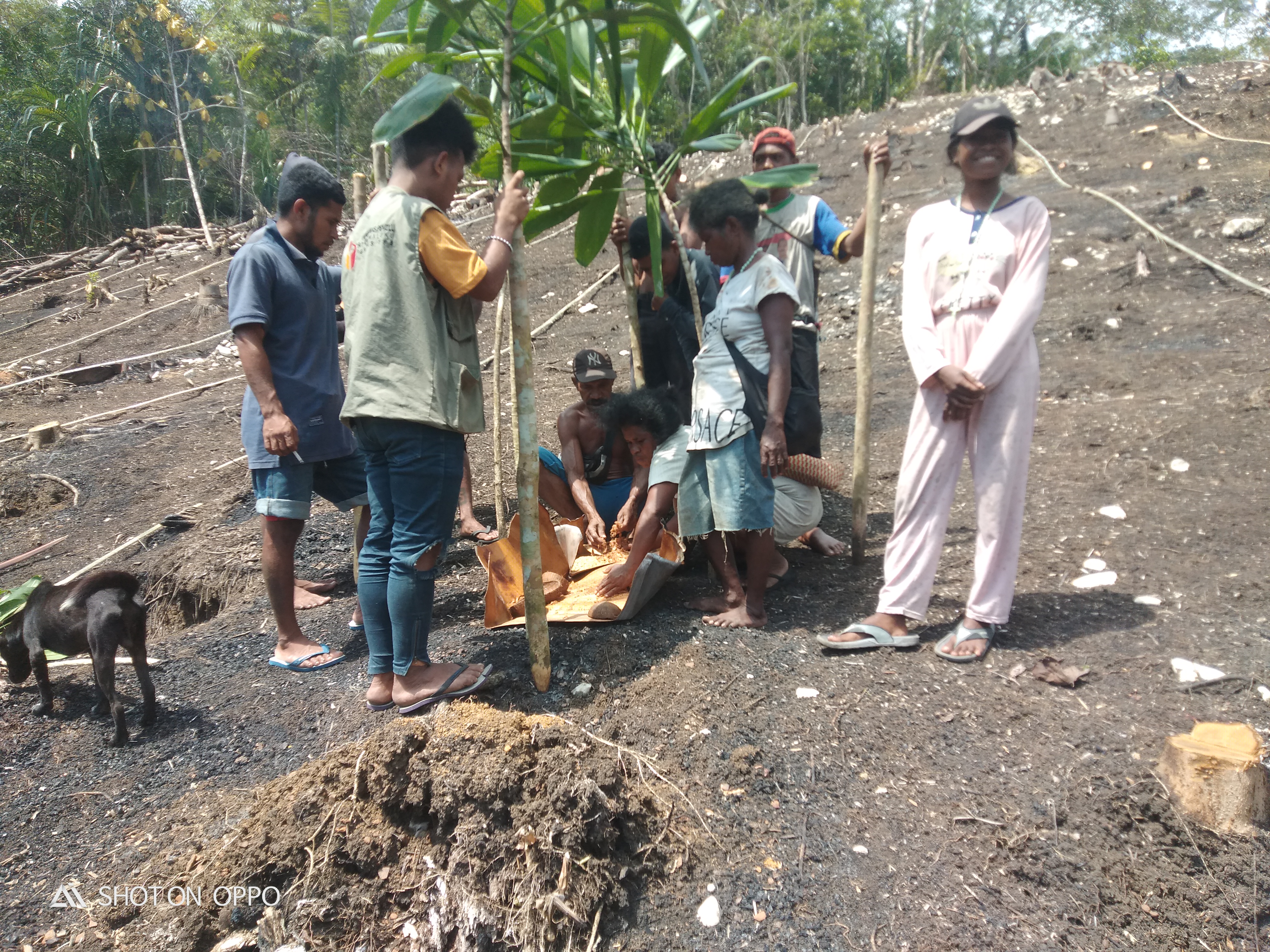 Pembangunan jalan setapak